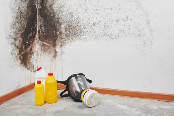 Best Crawl Space Mold Removal  in Laurel, VA