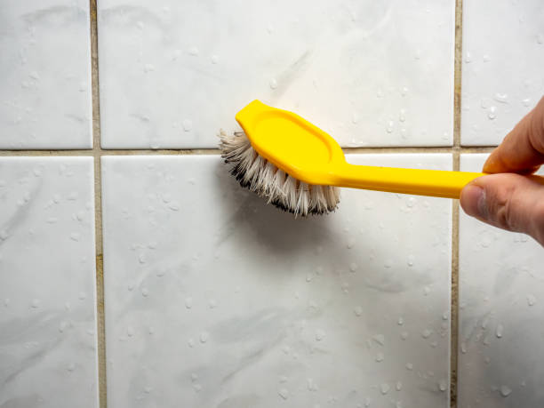 Best Residential Mold Removal  in Laurel, VA