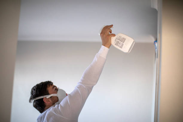Best Attic Mold Removal  in Laurel, VA