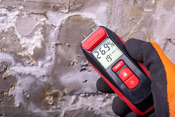 Best Certified Mold Removal  in Laurel, VA