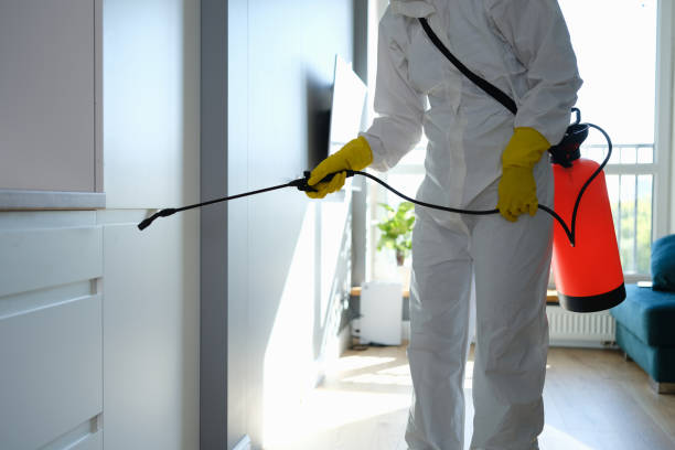 Best Mold Testing  in Laurel, VA