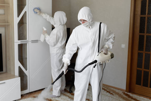 Best Professional Mold Removal  in Laurel, VA