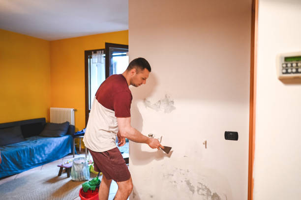 Best Mold Remediation  in Laurel, VA